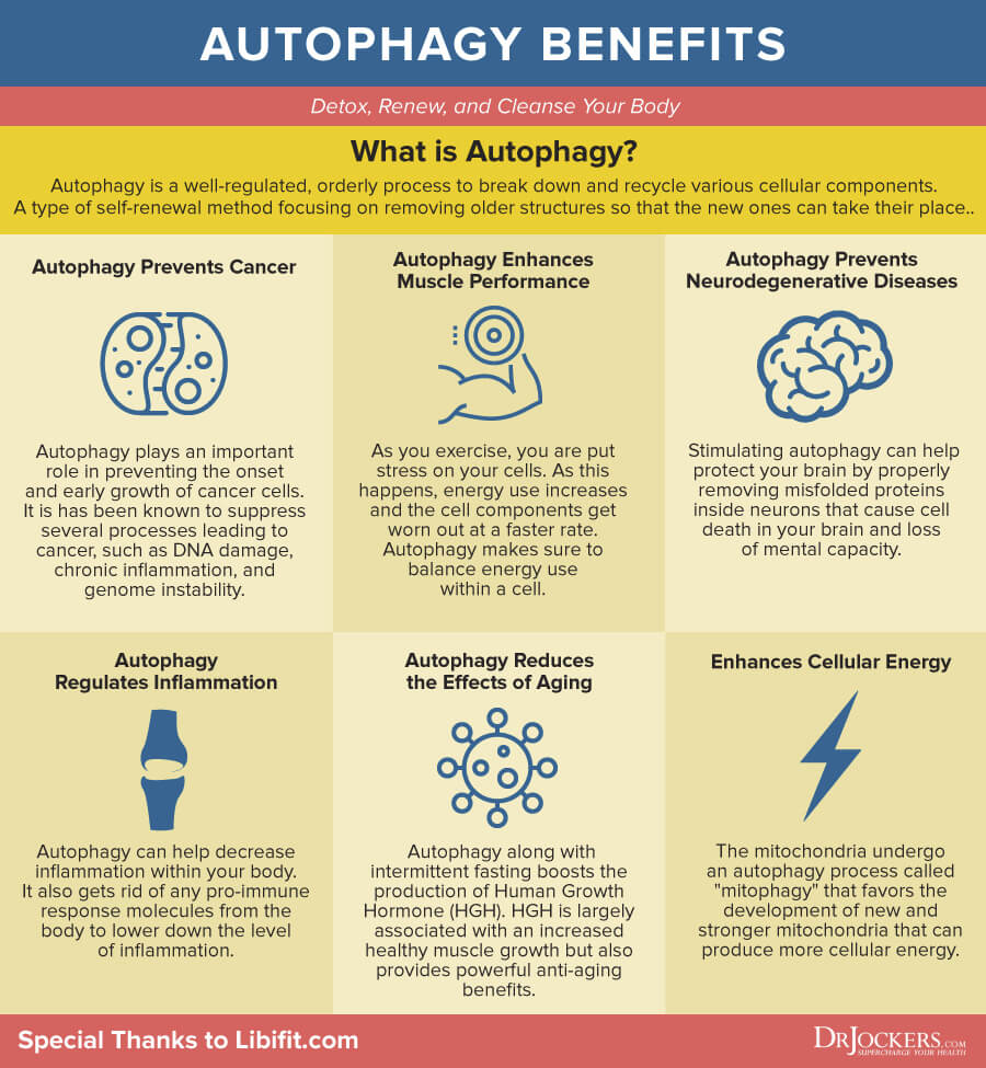 Autophagy-benefits